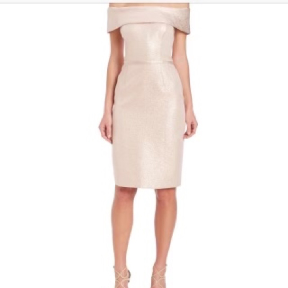 Teri Jon by rickie freeman - Blush Metallic Dress